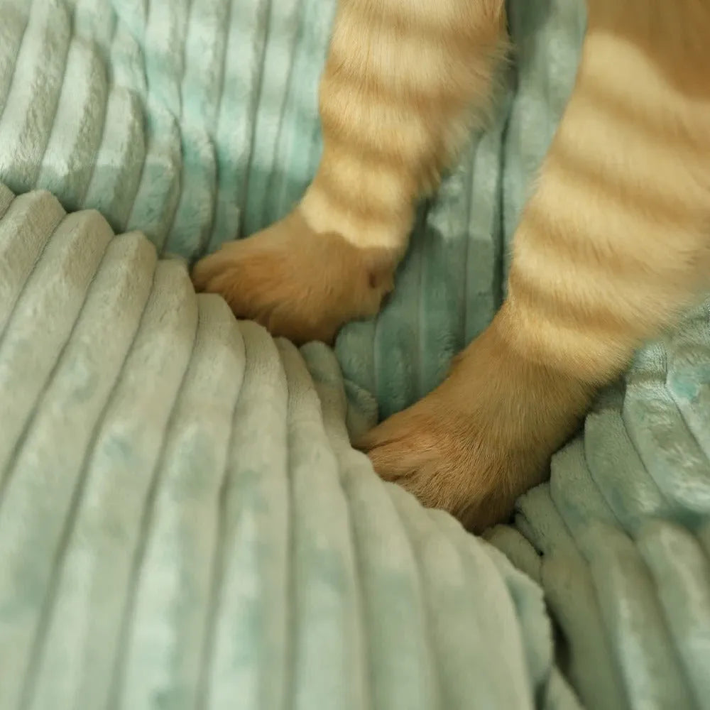 Supportive Dog Bed | Washable Plush Cushion | Non-Slip Base for Small & Large Dogs