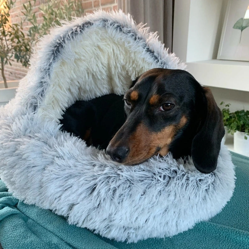 Hooded Plush Pet Bed | Cozy Cave-Style Dog & Cat Bed | Anti-Slip Bottom & Raised Rim Design