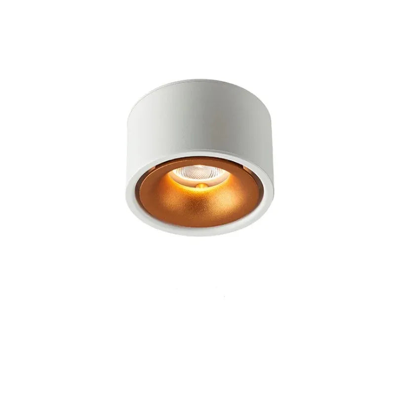 Adjustable Anti-Glare LED Ceiling Spotlight | Modern Recessed Design