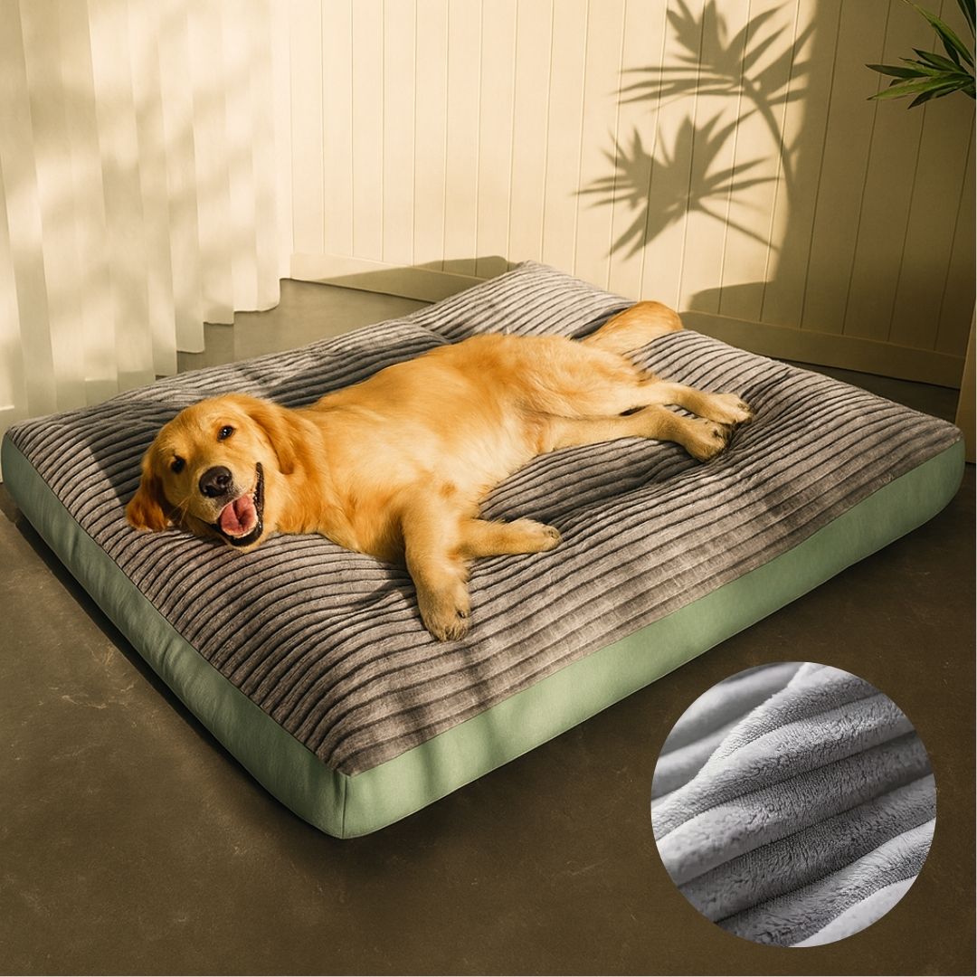 Supportive Dog Bed | Washable Plush Cushion | Non-Slip Base for Small & Large Dogs