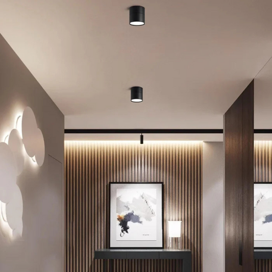 Adjustable LED Ceiling Light | Modern Minimalist Design