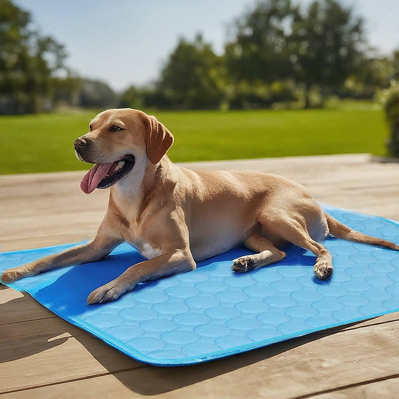 Cooling Mat for Dogs | Self-Cooling 3-Layer Pad | Non-Slip, Washable & Pet-Safe Comfort Mat for Hot Weather