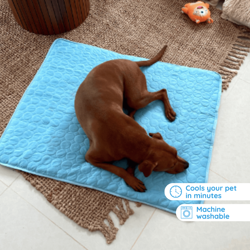 Cooling Mat for Dogs | Self-Cooling 3-Layer Pad | Non-Slip, Washable & Pet-Safe Comfort Mat for Hot Weather