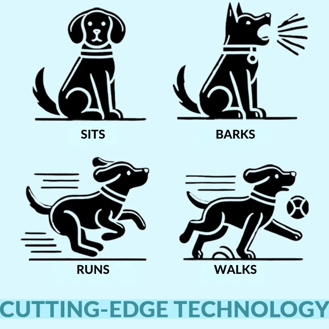 Interactive Puppy Toy | Voice & Touch Responsive | Realistic Walking, Barking & Tail-Wagging Plush Dog for Kids