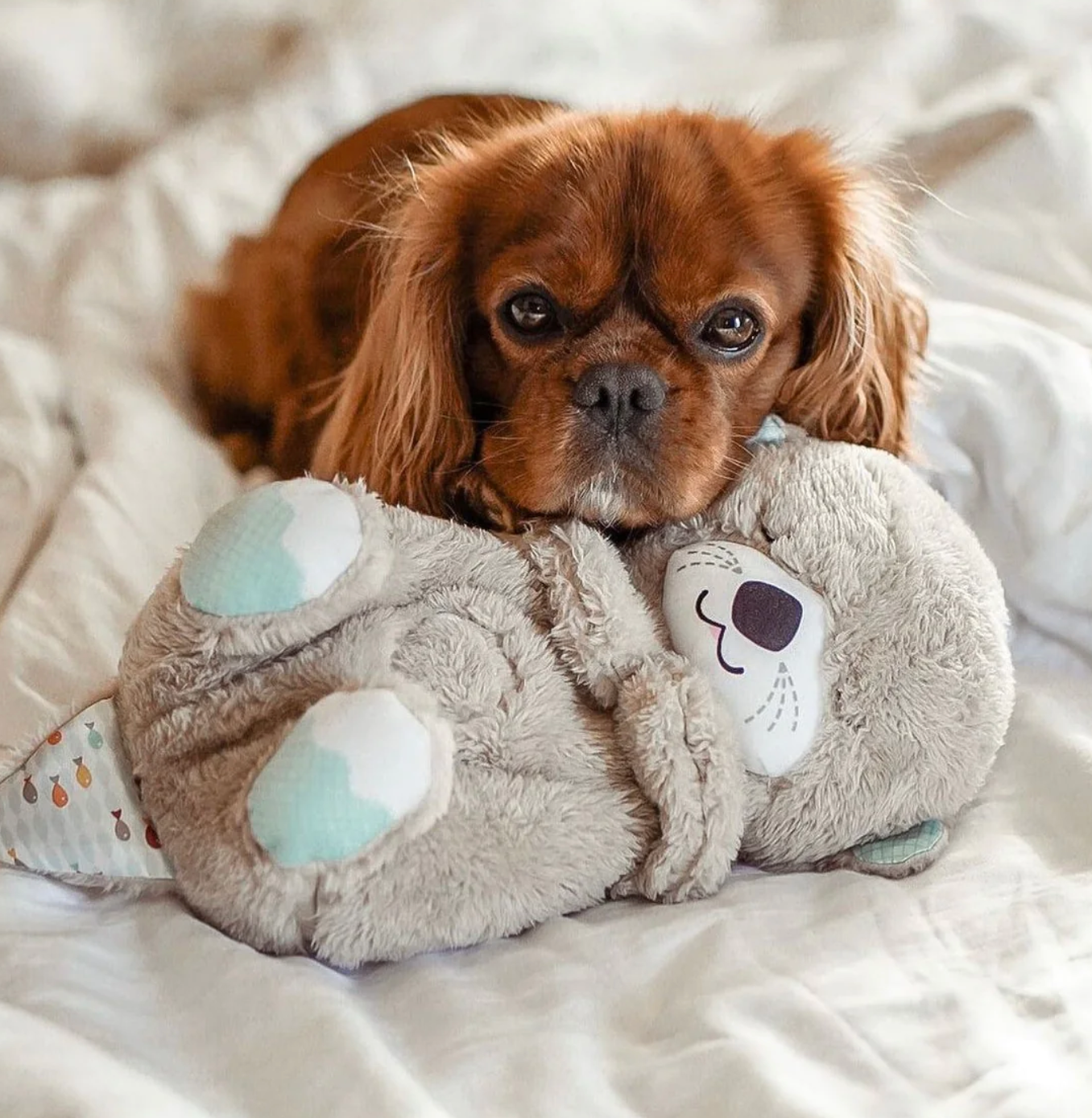 Soothing Plush Sleep Buddy | Musical Light-Up Otter Toy with Gentle Breathing Motion