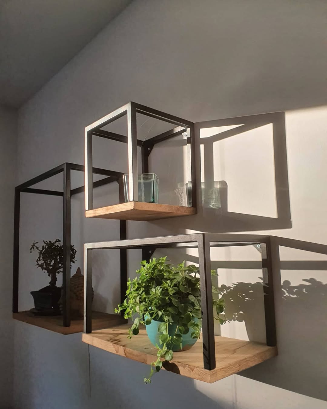Ivy - Wall Plant Holder