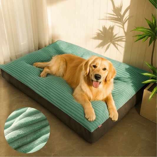 Supportive Dog Bed | Washable Plush Cushion | Non-Slip Base for Small & Large Dogs